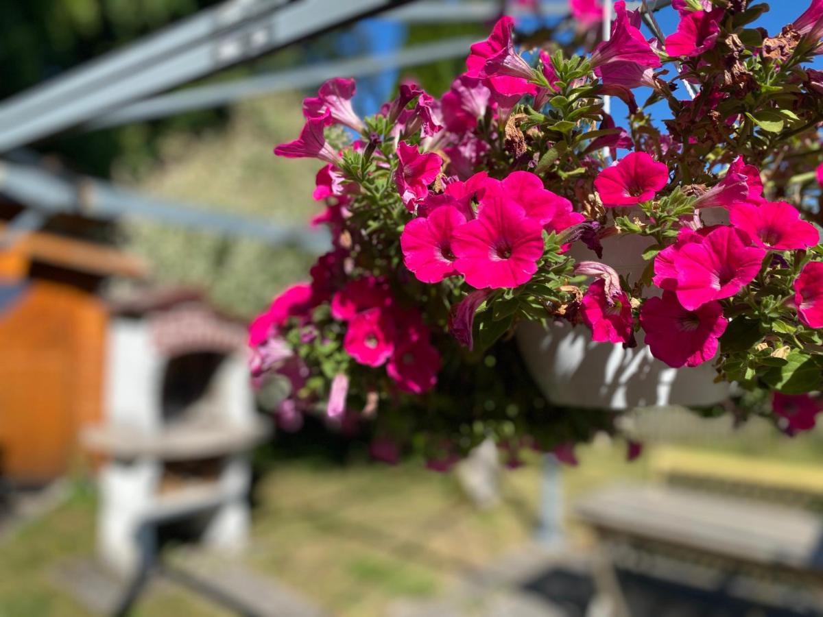 Ferienwohnung Am Franziskanergarten Bad Tölz Dış mekan fotoğraf