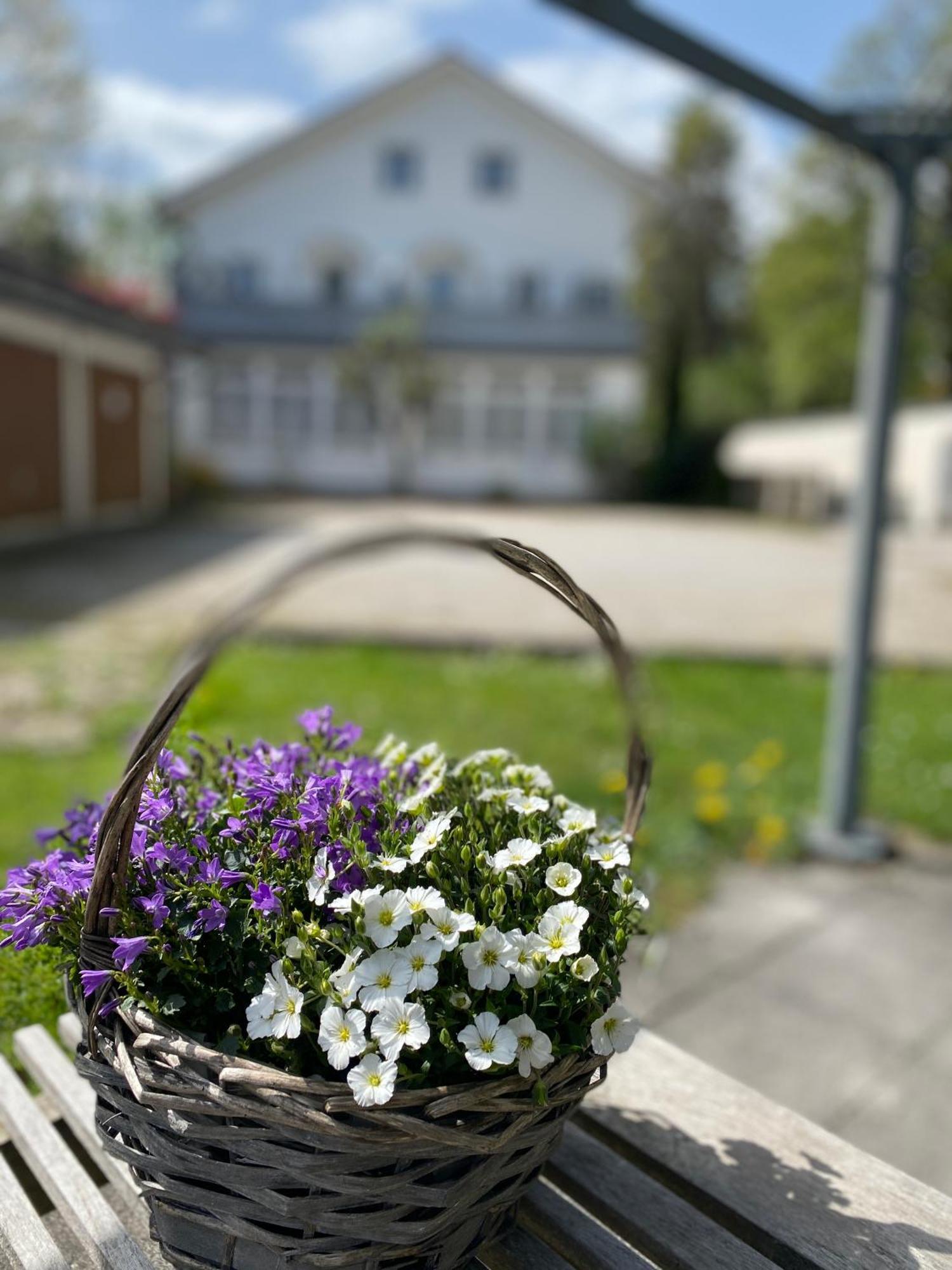 Ferienwohnung Am Franziskanergarten Bad Tölz Dış mekan fotoğraf